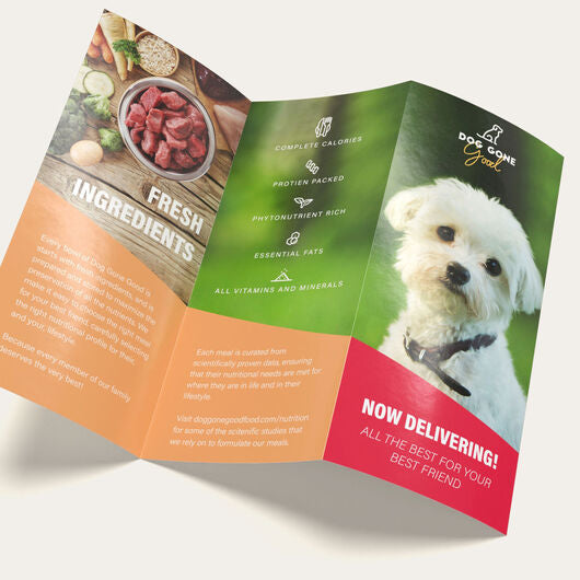 100 Trifold Brochures
